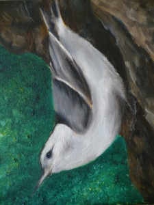 Nuthatch Painting